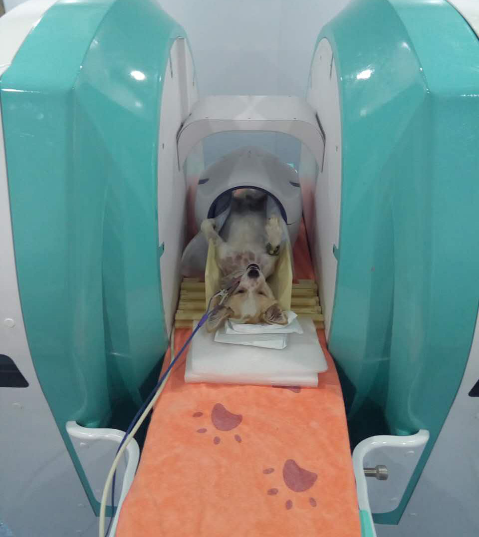 小動物磁共振屏蔽室